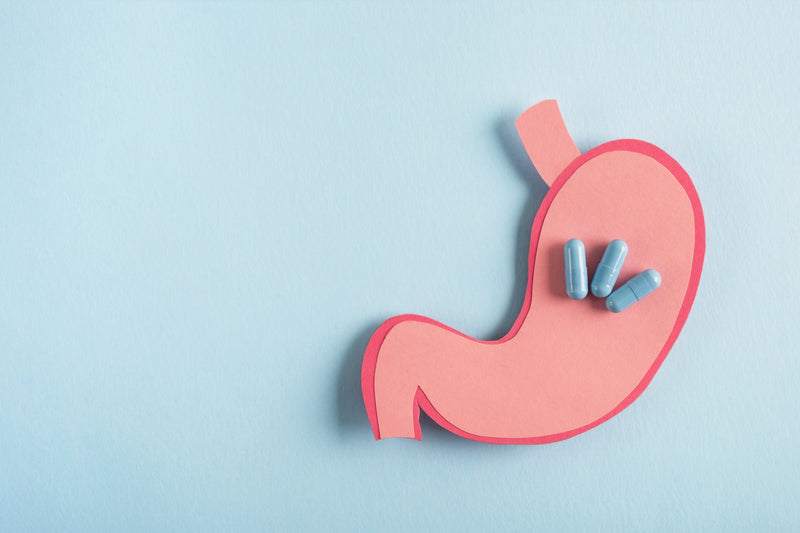What Are Digestive Enzymes And Digestive Enzyme Supplements