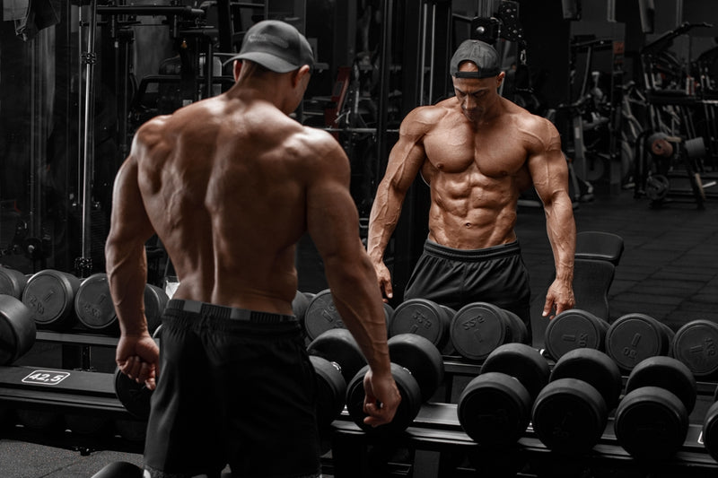 5 Best Binge-worthy Bodybuilding Documentaries You Should Watch Now