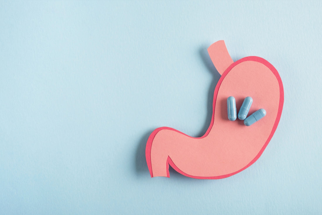 What Are Digestive Enzymes And Digestive Enzyme Supplements
