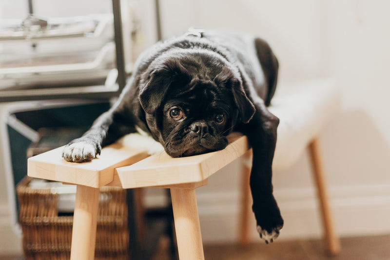 Self Sabotage Behavior - Why We Do It