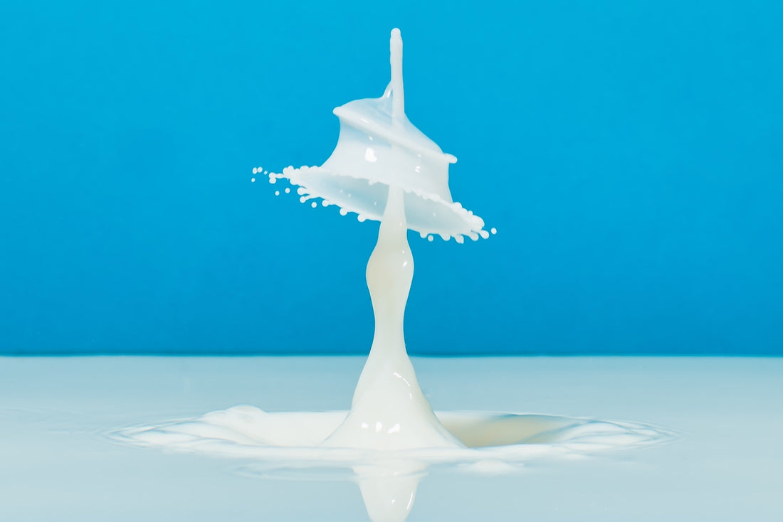 What Is Lactose Intolerance And How To Tell If You Have One by The Swole Kitchen