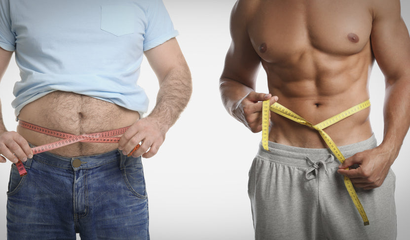 Why Is Protein Important For Body Recomposition